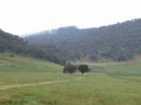 Corryong Range