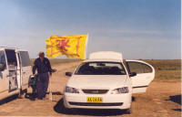 Flags Flying
